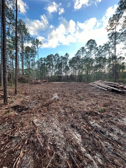 5297 Walnut Ave, Bunnell, FL 32110