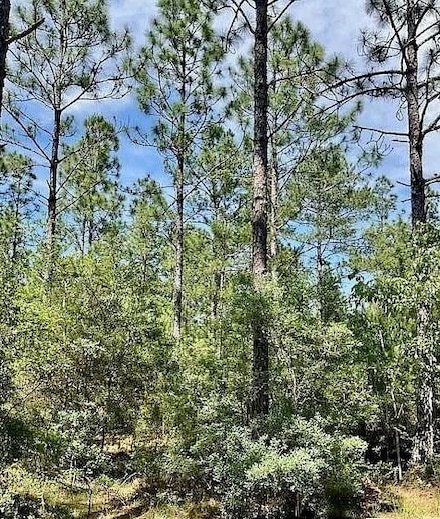 NHN Audubon St, Lumberton, MS 39455