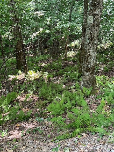 Lot 7 Sori Ln, Sapphire, NC 28774