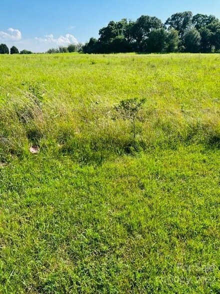 1051 Casar Bellwood Rd, Casar, NC 28020