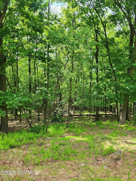 0 Mountain Rd, Shamokin, PA 17872