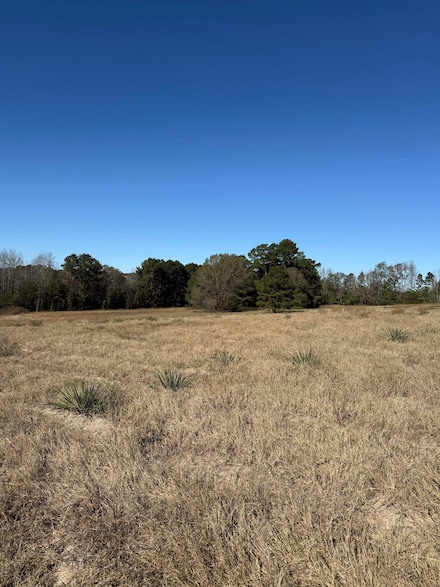 TBD N Fm 161, Hughes Springs, TX 75656