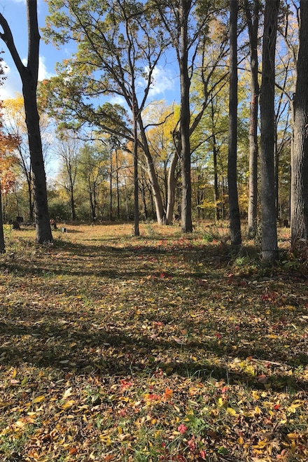 4127 Carriage Hill Dr, Metamora, MI 48455