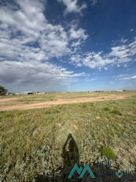 00 Michael Rd, Dexter, NM 88230