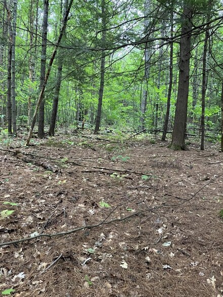 0 Birch Hill Rd, Warner, NH 03278