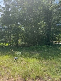 15871 Sycamore Dr, Montgomery, TX 77356