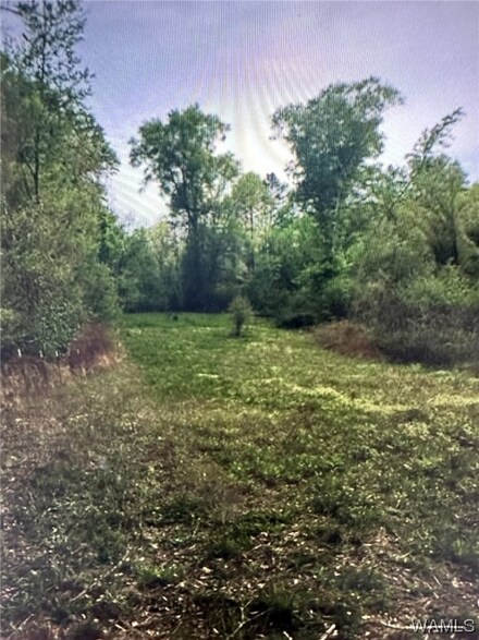 0 Cripple Creek Rd, Berry, AL 35546