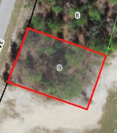 9805 N Emellia Ave, Citrus Springs, FL 34433