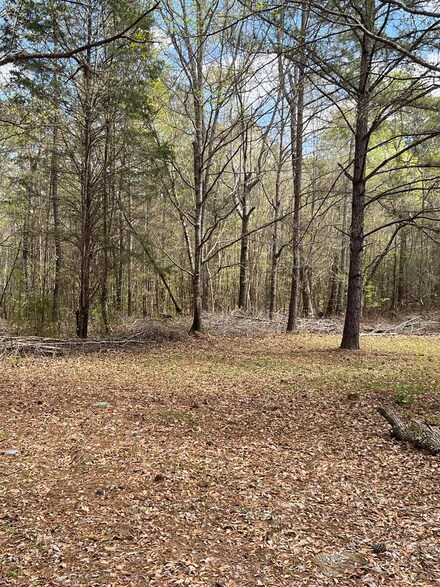 Parcel 029022 0 St, Fortson, GA 31808