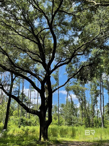 12293 Comalander Rd, Fairhope, AL 36532