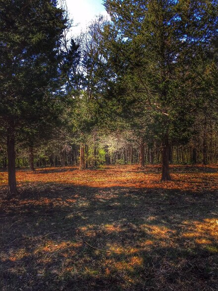 Unknown N Farm Road 119, Brighton, MO 65617