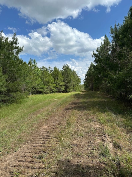 Us Hwy 55 N, Red Level, AL 36474