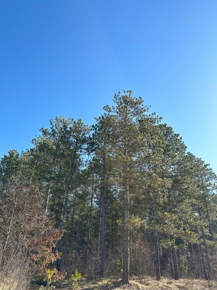 ON Spring Creek Dr Unit 4080-4, Tomahawk, WI 54487
