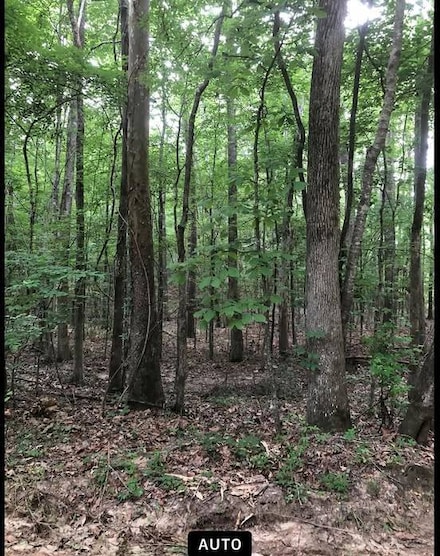 0 Pickering Unit 11460094, Florence, MS 39073