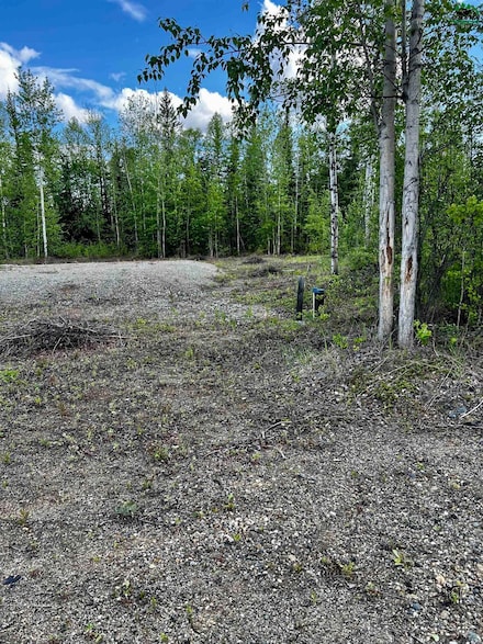 L3 Remington Rd Unit Corner of Remington, Deltana, AK 99737