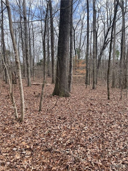 00 Southern Breeze Dr, Tuscaloosa, AL 35405