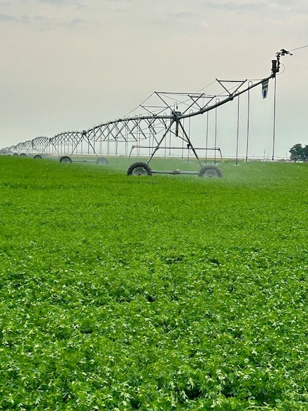 1176 County Line Rd, Fort Shaw, MT 59443