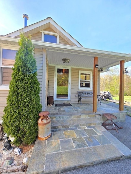 100 Old Mashipacong Rd, Montague, NJ 07827