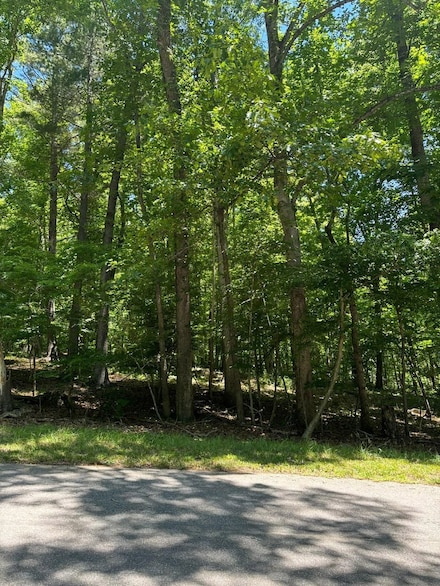 6344 Hazelwood Dr, Dublin, VA 24084