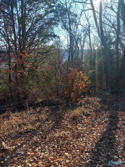 26 acres Union Hill Rd, Somerville, AL 35670