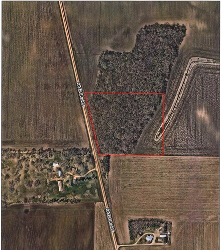 XXX Naylor Ave, New Prague, MN 56071