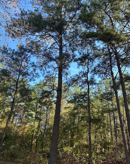 9845 Farm To Market 149, Montgomery, TX 77316