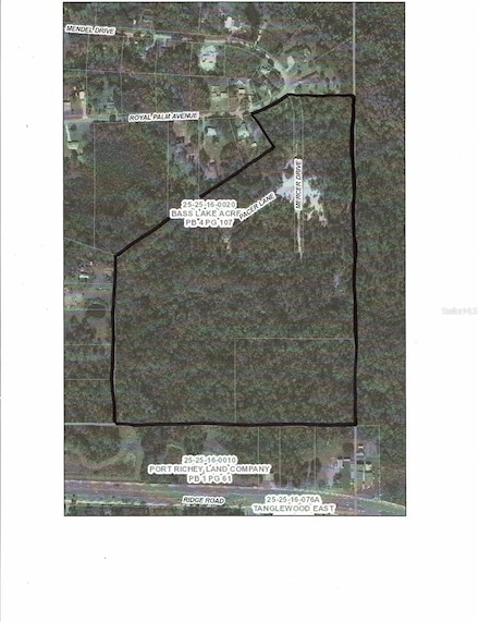 0 Royal Palm Ave Unit MFRW7858646, New Port Richey, FL 34654