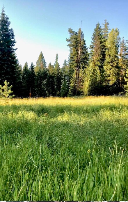 Nhn Old Mill Way, Trout Creek, MT 59874