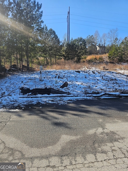 1117 Falkirk Ln, Stone Mountain, GA 30087