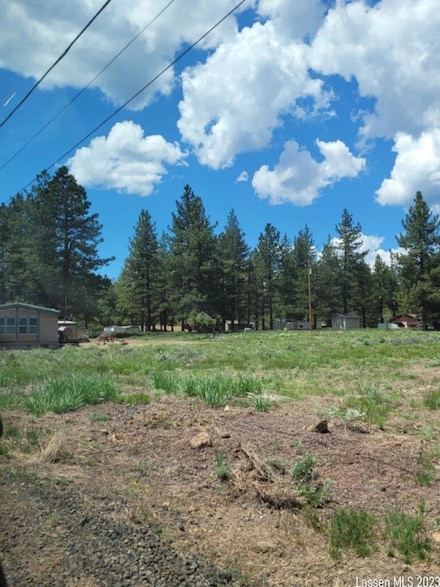 000000 Hickory Way, Eagle Lake/Susanville, CA 96130
