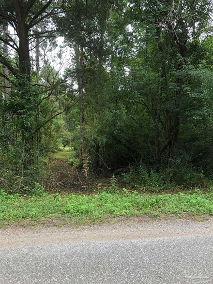 Lot 6 Virecent Rd, Cantonment, FL 32533
