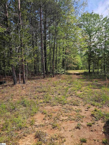 200 Tommys Trail, Pickens, SC 29671