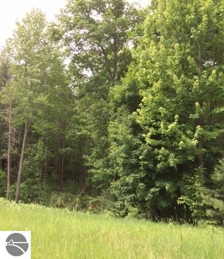 8920 Wheeler Oaks Dr, Williamsburg, MI 49690