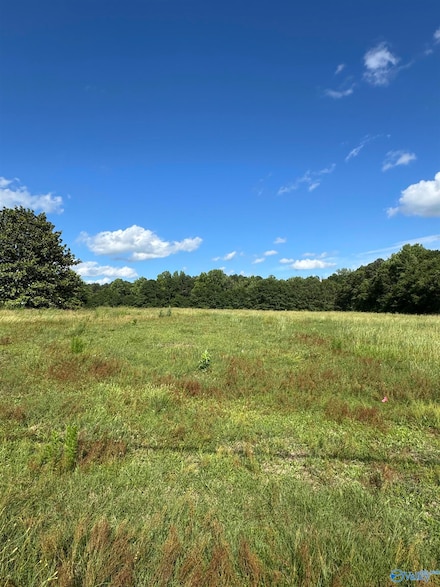 391 Rabbit Town Rd, Albertville, AL 35950