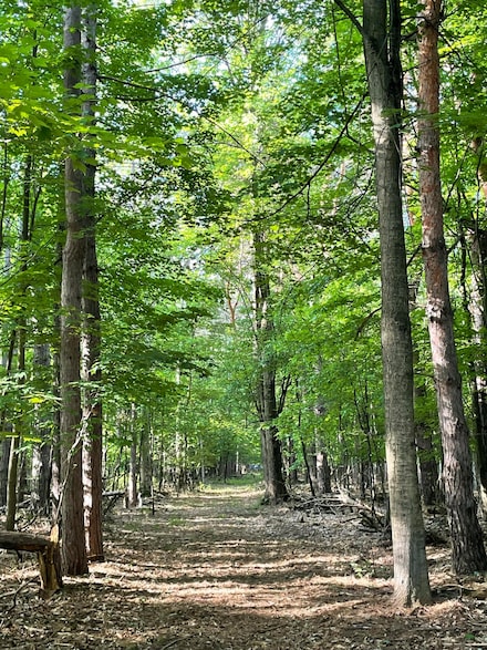 0 Mortimer Line Unit 25023305, Croswell, MI 48422