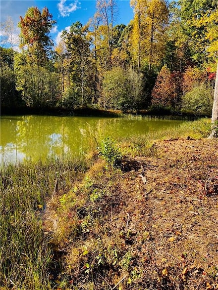 3 Long Mountain Rd, Cleveland, GA 30528