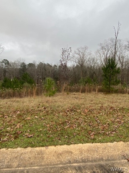 11700 Elam Dr, Northport, AL 35475