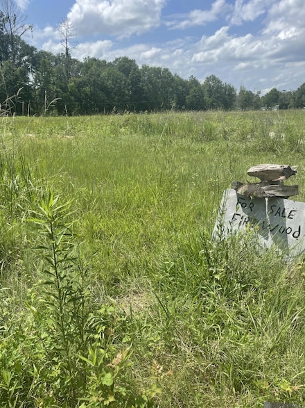 13193 Hodges Ln, Walker, LA 70785