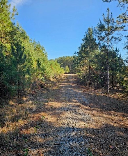 0 Prospect Rd Unit 131315, Af9fa667-A089-439e-aceb-dece9bbc6457, GA 30710