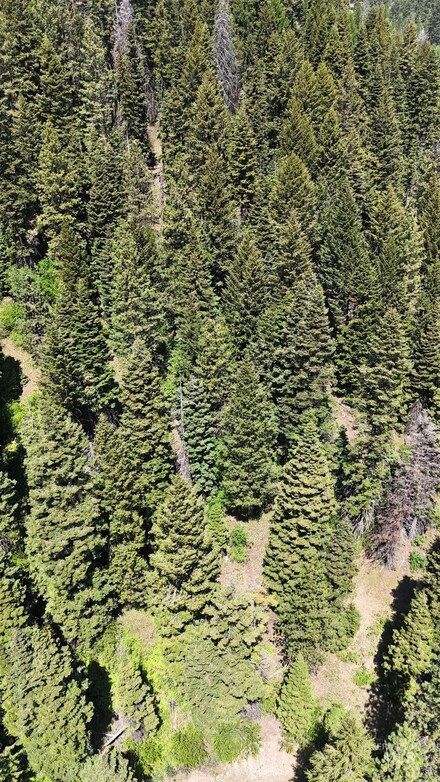 74 Burnt Wagon Trail, Donnelly, ID 83615