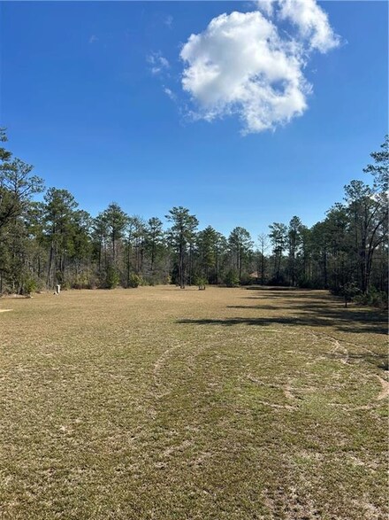 28261 Song of the Forest Dr, Folsom, LA 70437