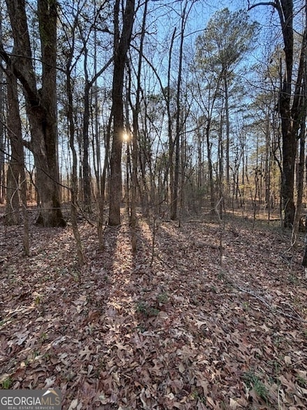 315 N Lake Cir, Oxford, GA 30016