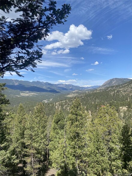 1448 S Ridge Rd, Bailey, CO 80421