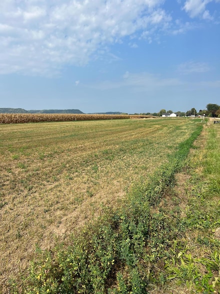 1612 River Dr S, Wabasha, MN 55981