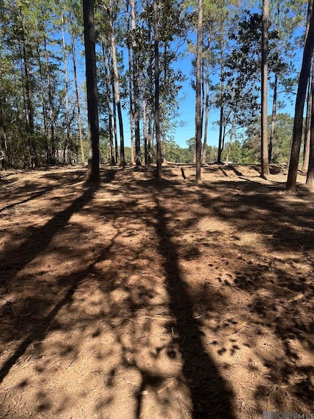 0 Johnny Martin Rd Unit BR2025019920, Franklinton, LA 70438