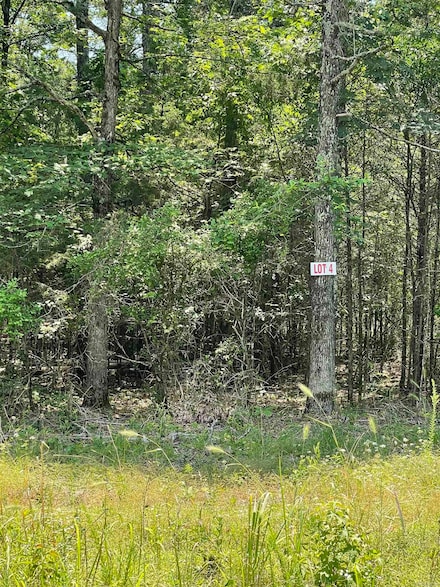 Lot 4 Pleasant Ridge Rd, Greers Ferry, AR 72067