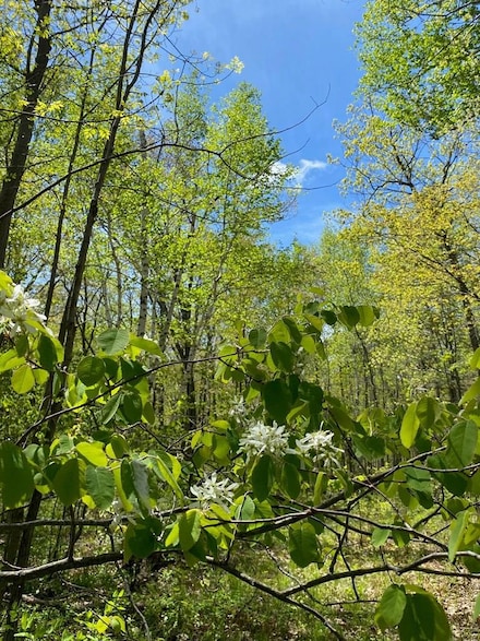 4973 Deer Run Trail, Sevastopol, WI 54235
