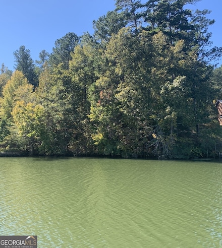 0 Harbour Pointe Dr Unit 10395908, Sparta, GA 31087