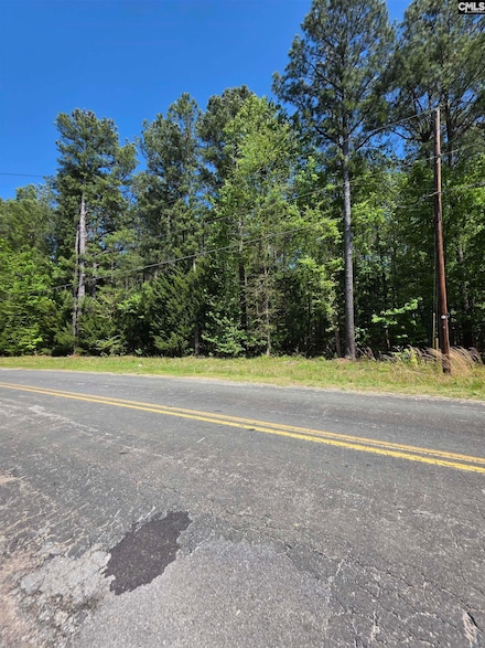 0 Lazy Brook Dr Unit 607063, Chapin, SC 29036