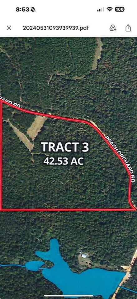 0 Peach Orchard Rd, Richland, GA 31825